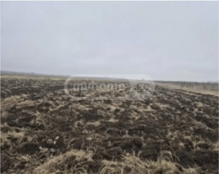 For Sale Sasoplo-Sameurneo Land Plot Gurjaanis Munitsipalitetshi view 1