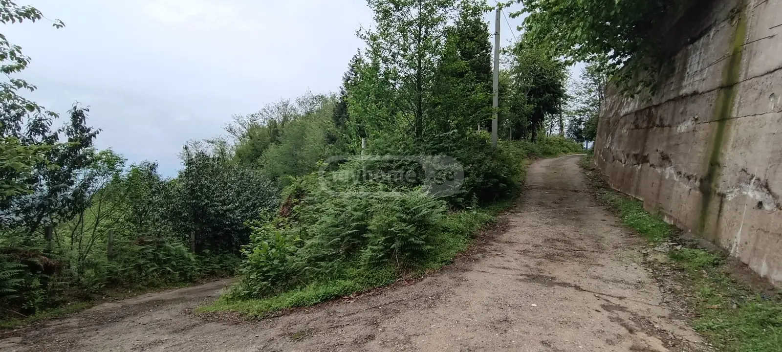 For Sale Sasoplo-Sameurneo Land Plot Khelvachauris Munitsipalitetshi view 9