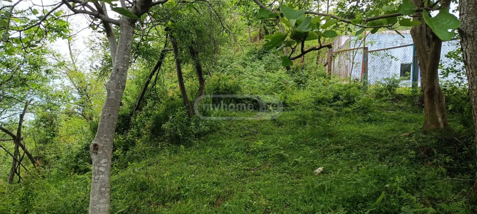 For Sale Sasoplo-Sameurneo Land Plot Khelvachauris Munitsipalitetshi view 6