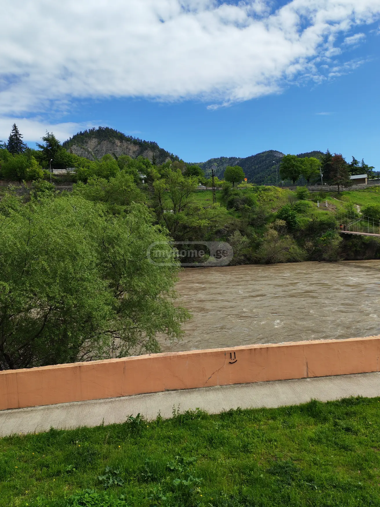 For Sale 1 Room Apartment Borjomshi view 16