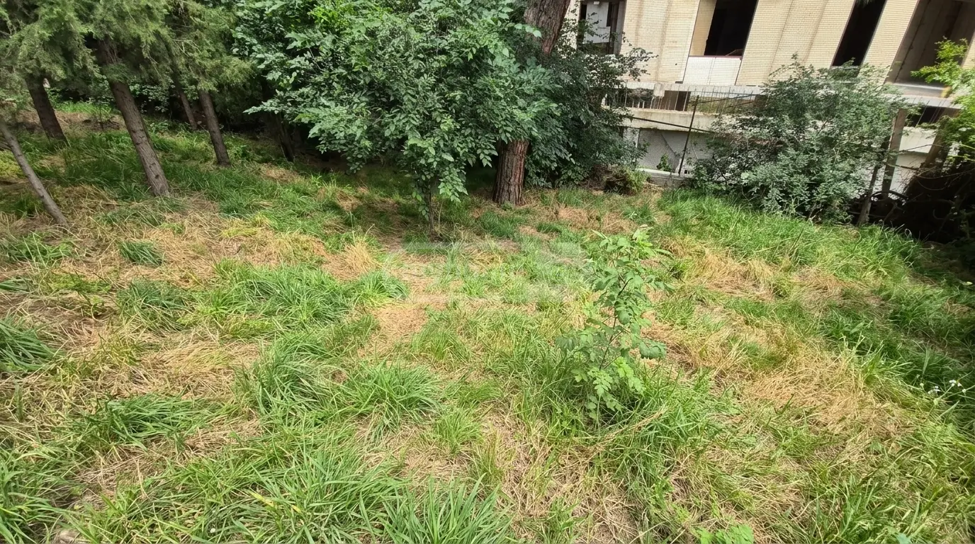 For Sale Ara Sasoplo-Sameurneo Land Plot Krtsanisshi, 6 of 7