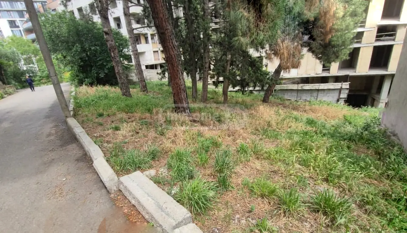 For Sale Ara Sasoplo-Sameurneo Land Plot Krtsanisshi, 5 of 7