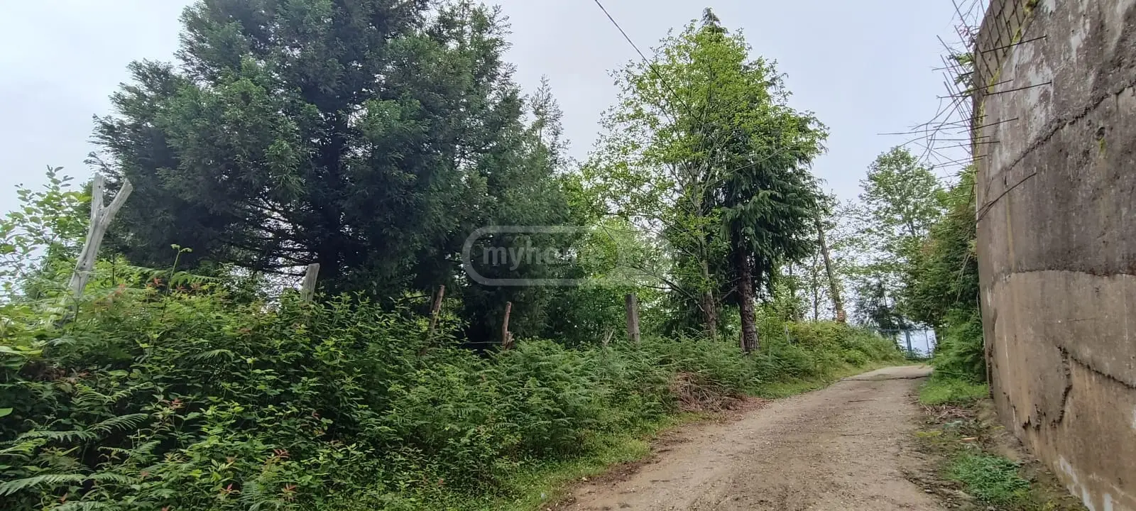 For Sale Sasoplo-Sameurneo Land Plot Khelvachauris Munitsipalitetshi view 3