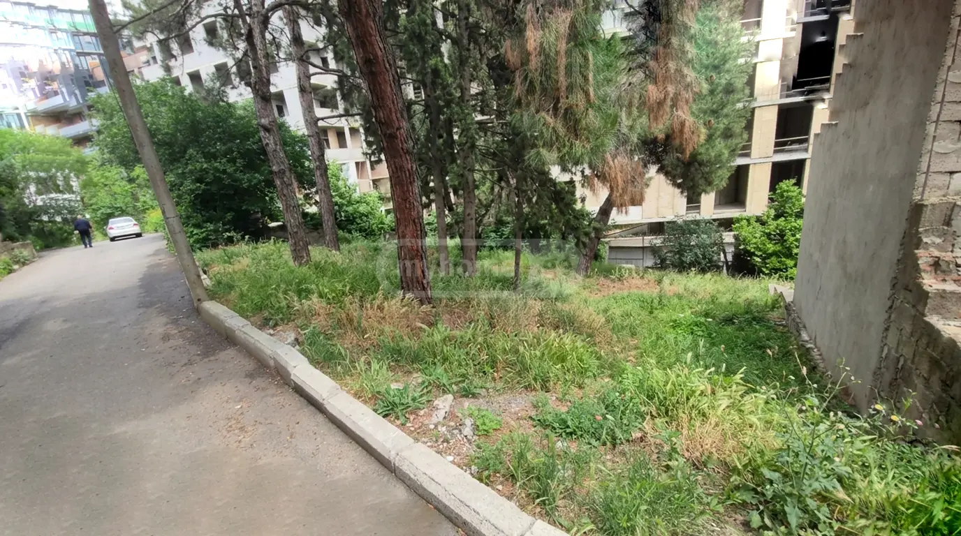 For Sale Ara Sasoplo-Sameurneo Land Plot Krtsanisshi, 4 of 7