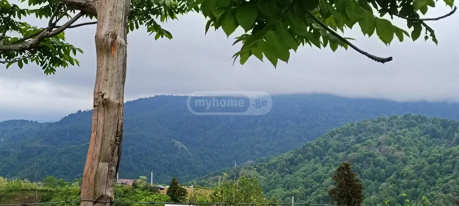 For Sale Sasoplo-Sameurneo Land Plot Khelvachauris Munitsipalitetshi view 2