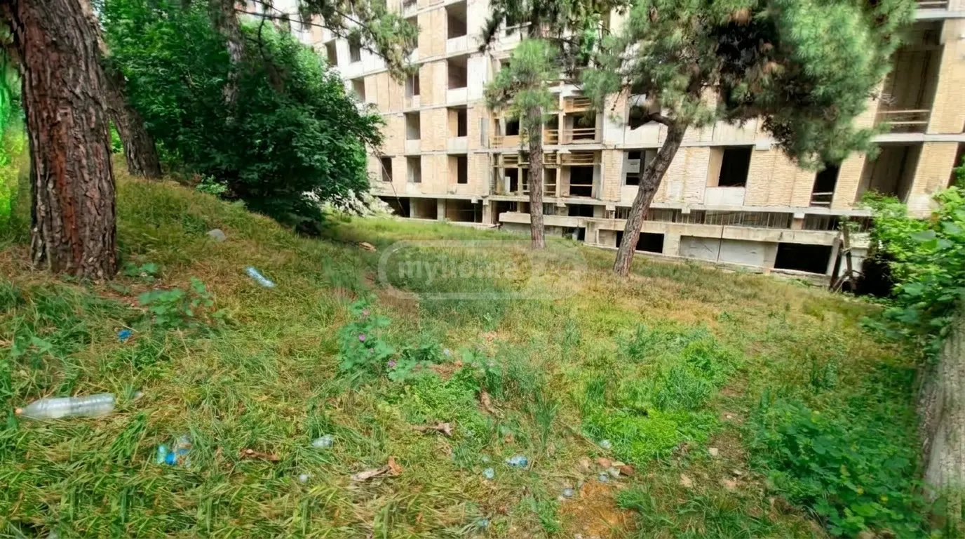For Sale Ara Sasoplo-Sameurneo Land Plot Krtsanisshi, 3 of 7