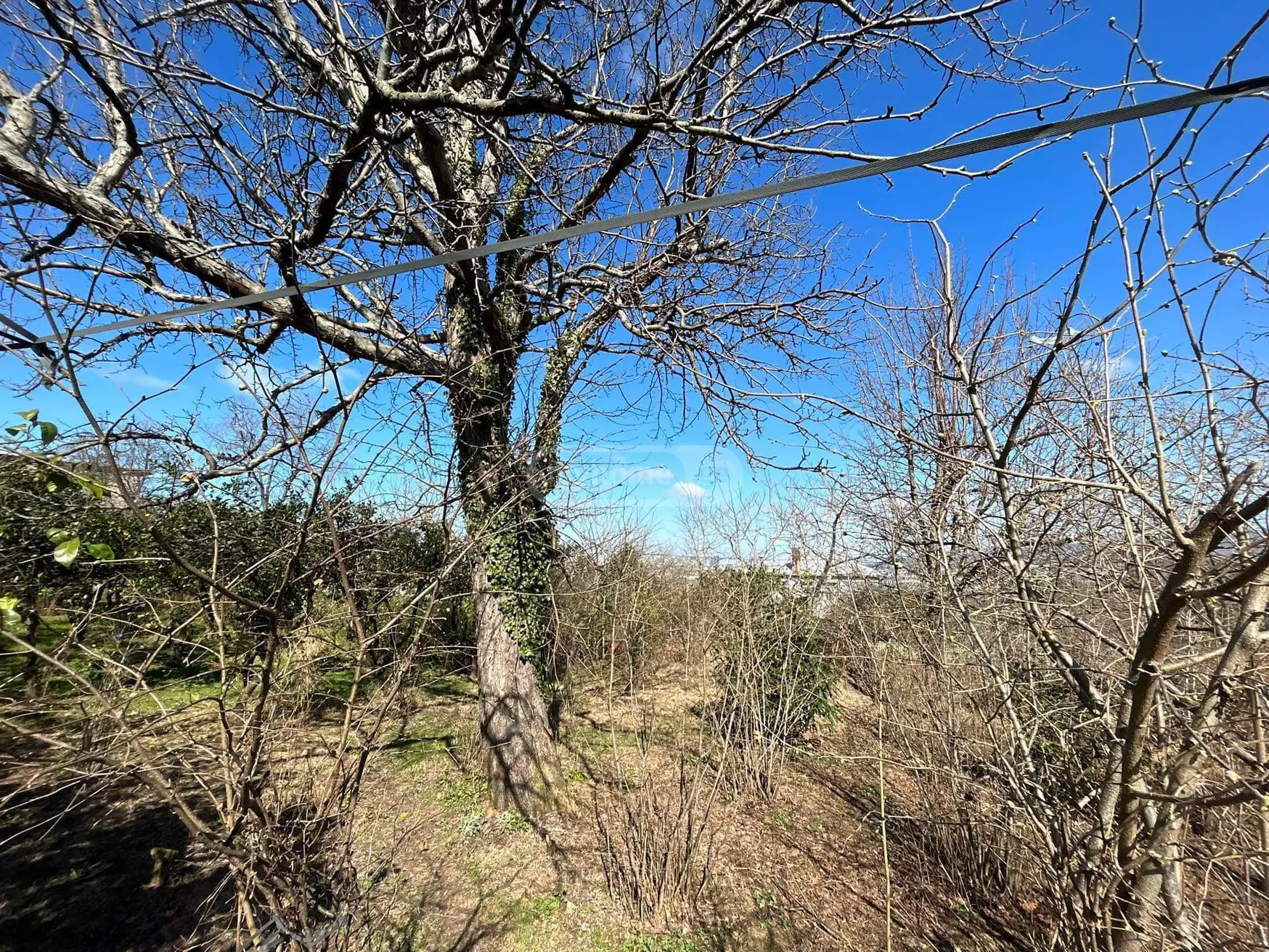 For Sale Spetsialuri Land Plot Khelvachauris Munitsipalitetshi view 6