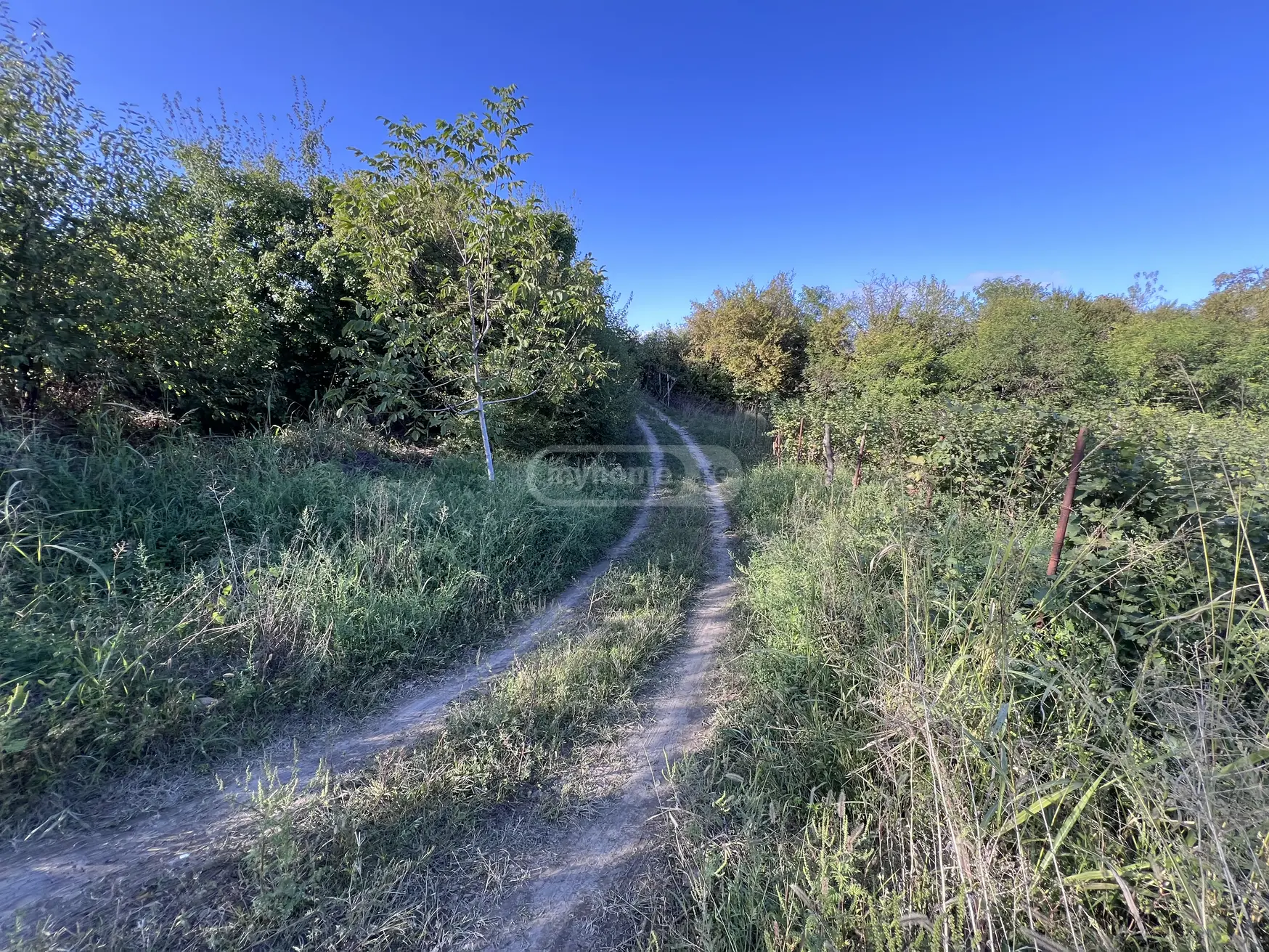 For Sale Sasoplo-Sameurneo Land Plot Gurjaanis Munitsipalitetshi view 6