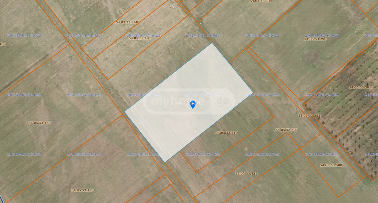 For Sale Sasoplo-Sameurneo Land Plot Lagodekhshi view 5