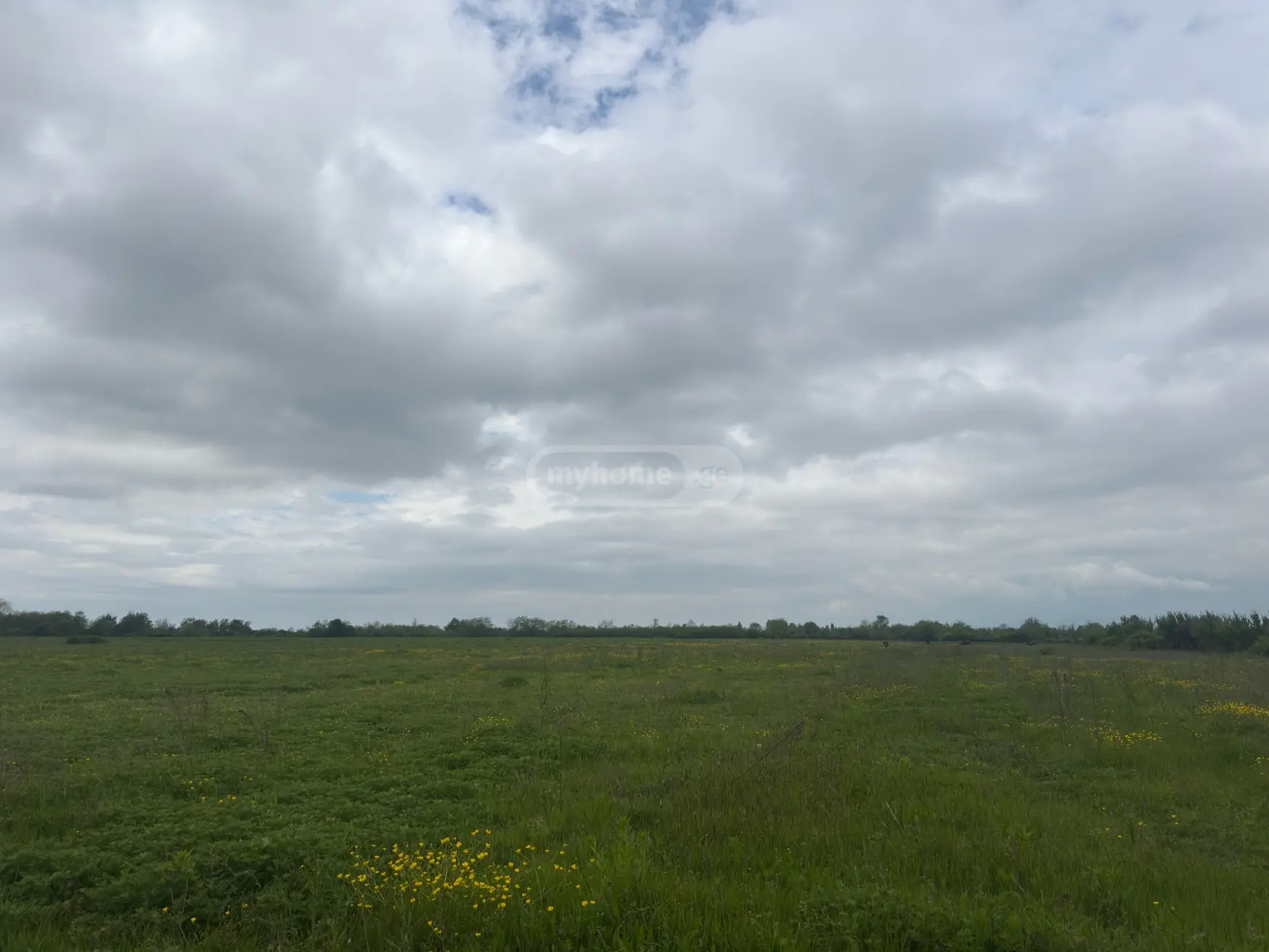 For Sale Sasoplo-Sameurneo Land Plot Lagodekhshi view 1