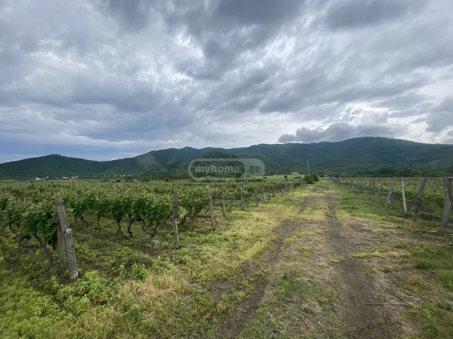 For Sale Sasoplo-Sameurneo Land Plot Qvarlis Munitsipalitetshi view 1