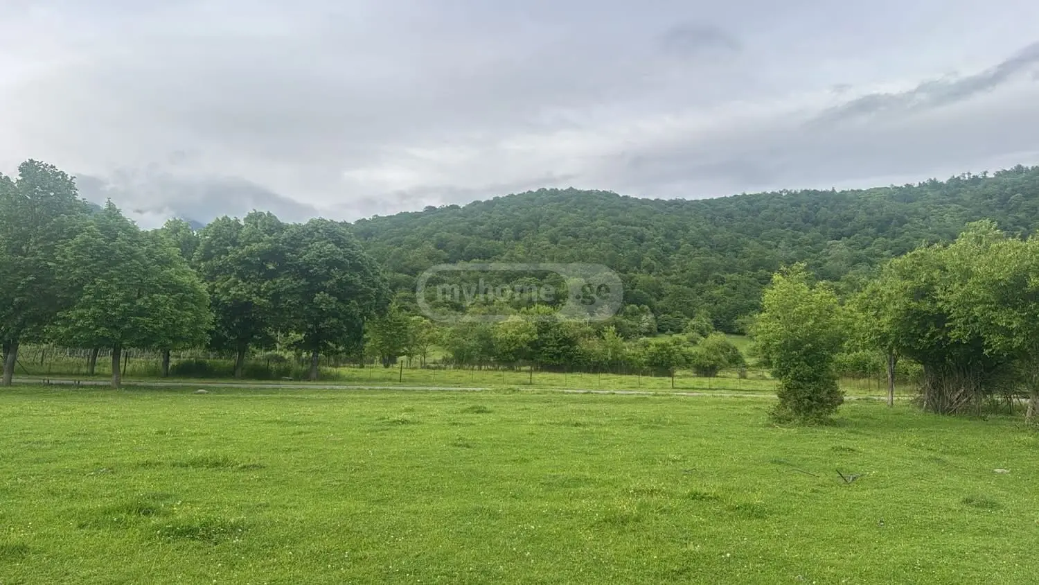 იყიდება მიწა / ნაკვეთი Telavis Munitsipalitetshiში view 1