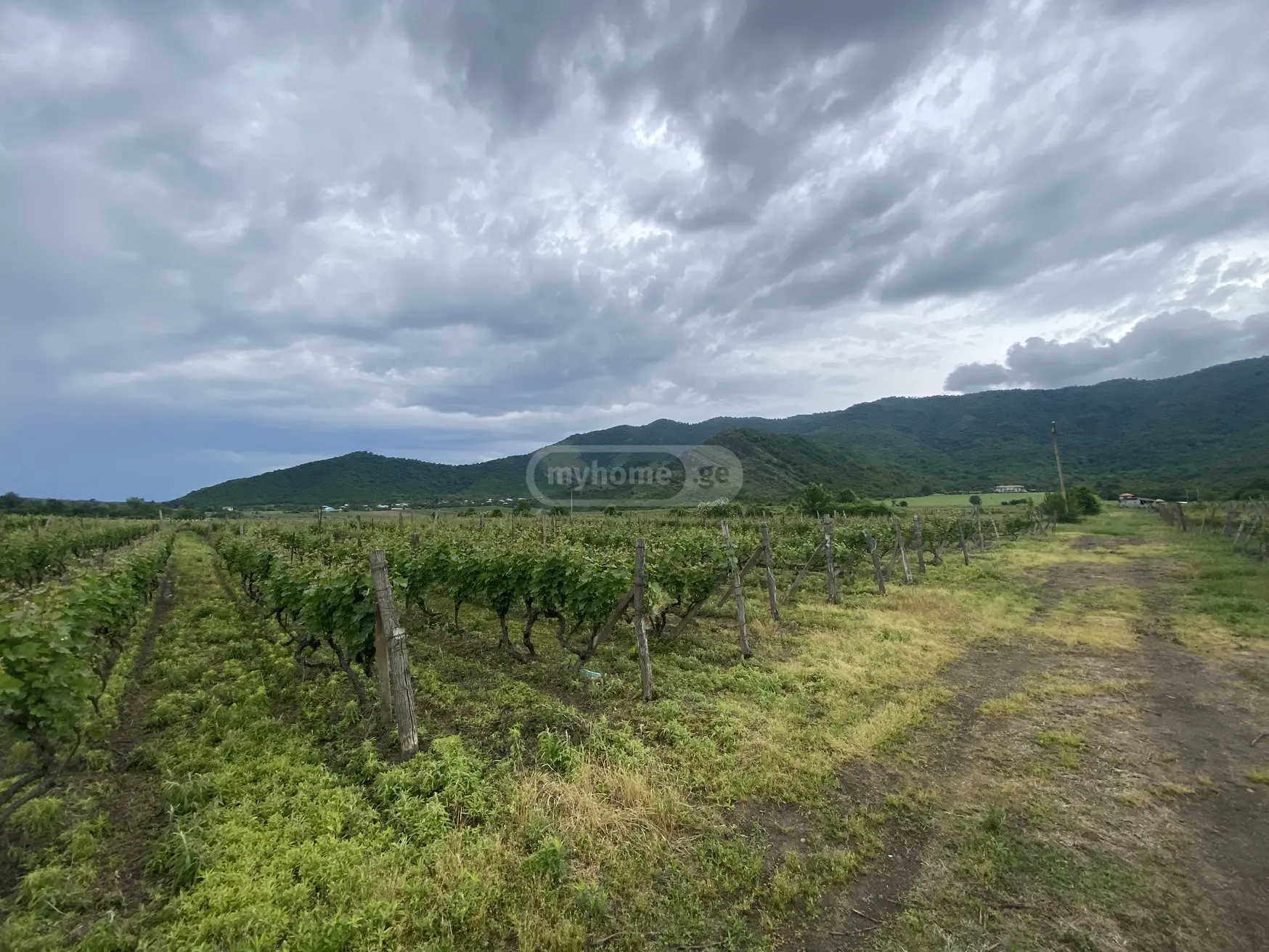 For Sale Sasoplo-Sameurneo Land Plot Qvarlis Munitsipalitetshi view 2