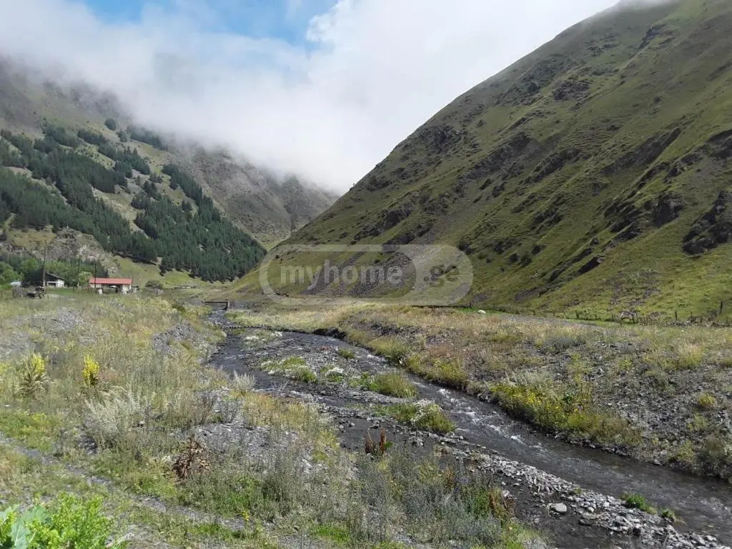 Daily Rent 3 Room Country House Qazbegshi view 3