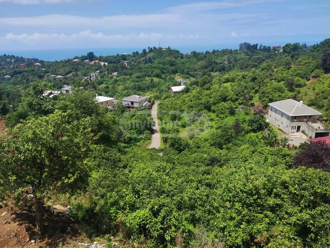 For Sale Ara Sasoplo-Sameurneo Land Plot Kobuletis Munitsipalitetshi view 5