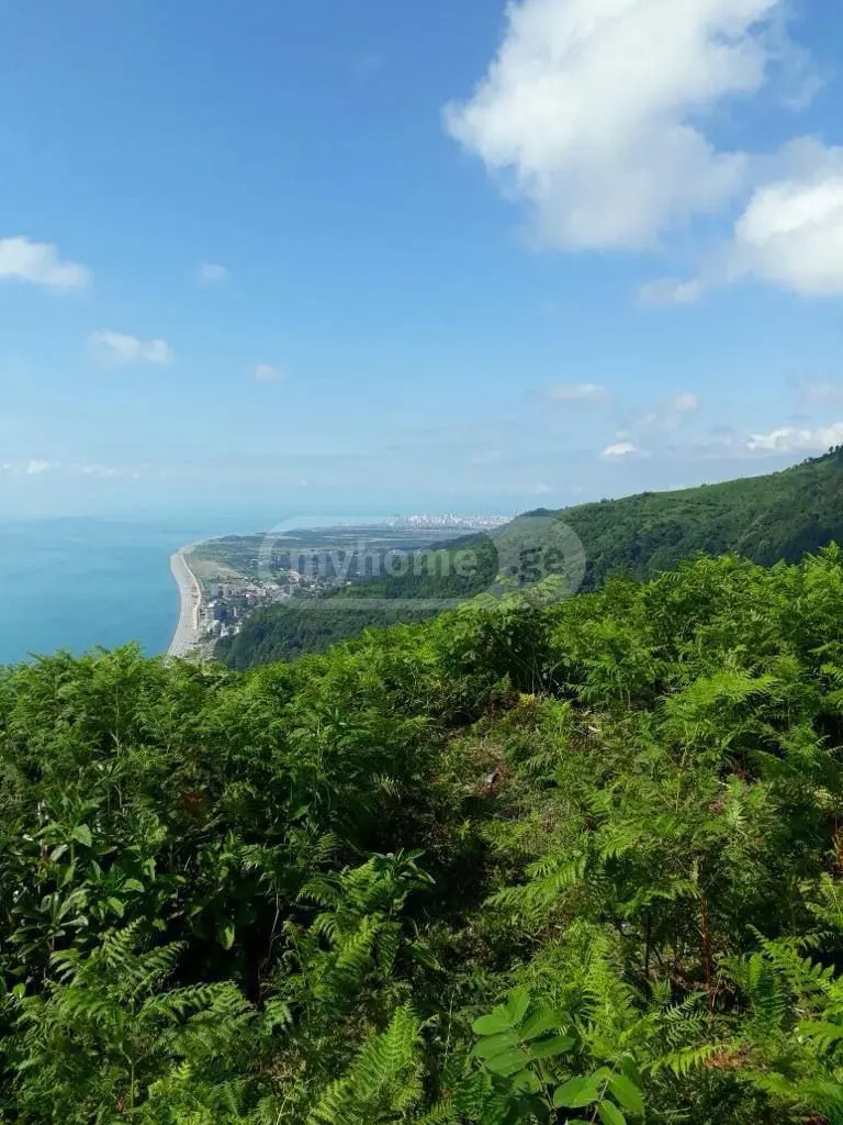 For Sale Ara Sasoplo-Sameurneo Land Plot Khelvachauris Munitsipalitetshi view 1