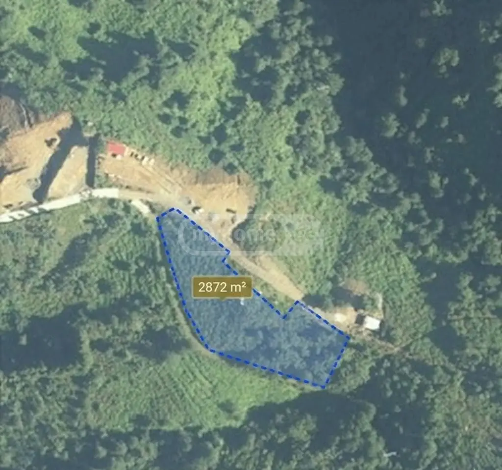 For Sale Ara Sasoplo-Sameurneo Land Plot Khelvachauris Munitsipalitetshi view 6