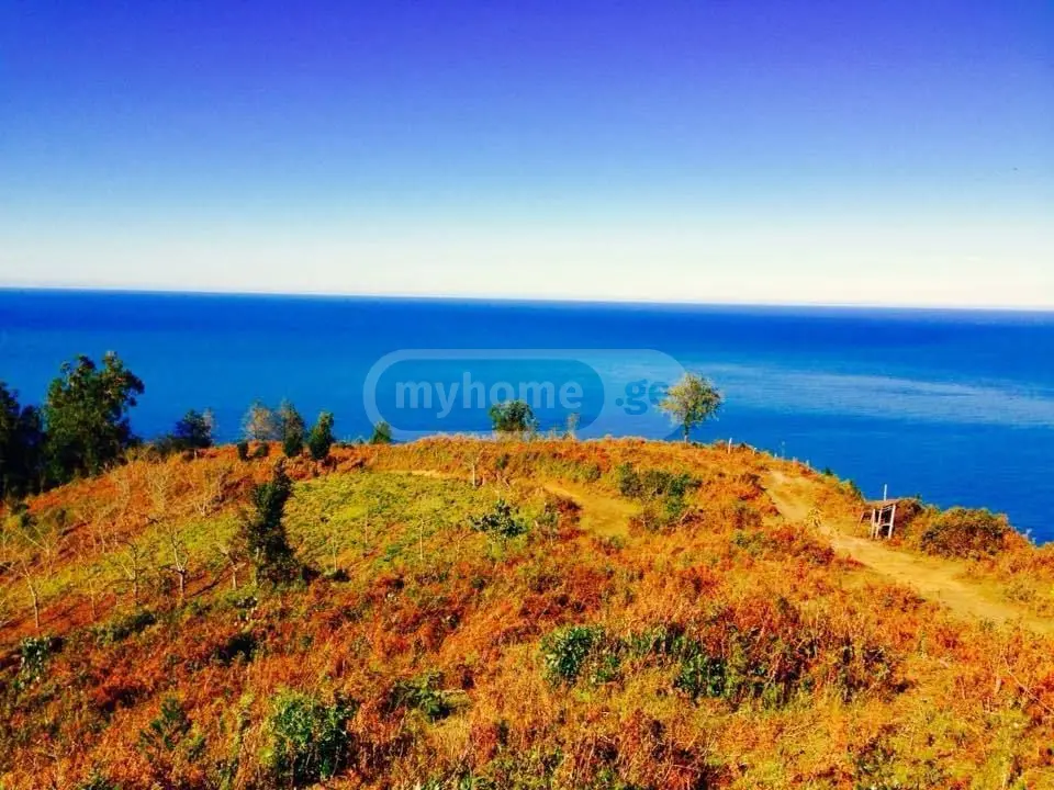 For Sale Ara Sasoplo-Sameurneo Land Plot Khelvachauris Munitsipalitetshi view 5