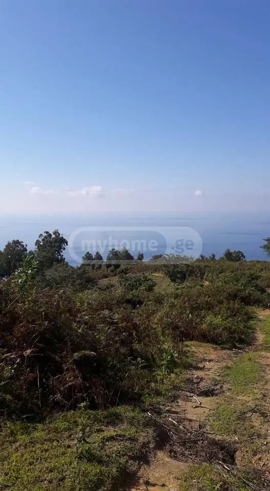 For Sale Ara Sasoplo-Sameurneo Land Plot Khelvachauris Munitsipalitetshi view 3