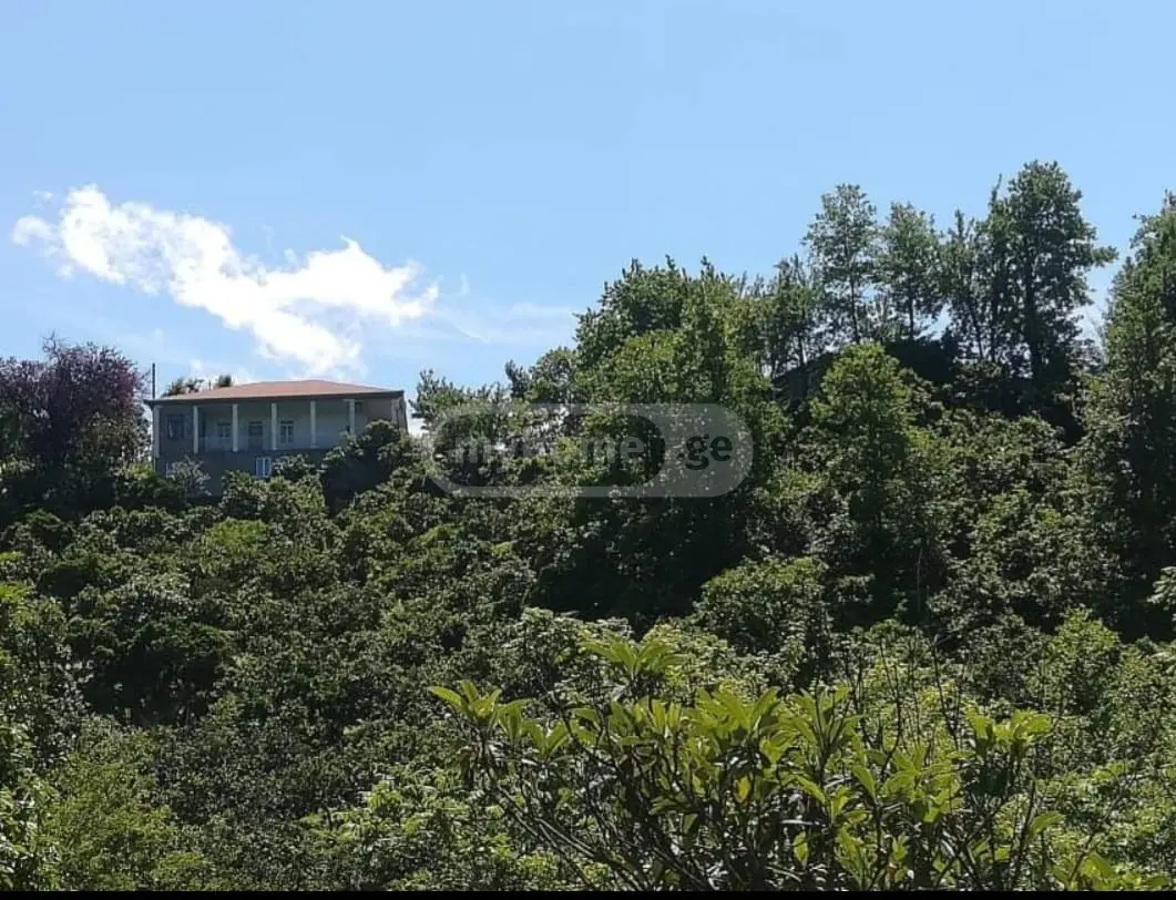 For Sale Ara Sasoplo-Sameurneo Land Plot Kobuletis Munitsipalitetshi view 8