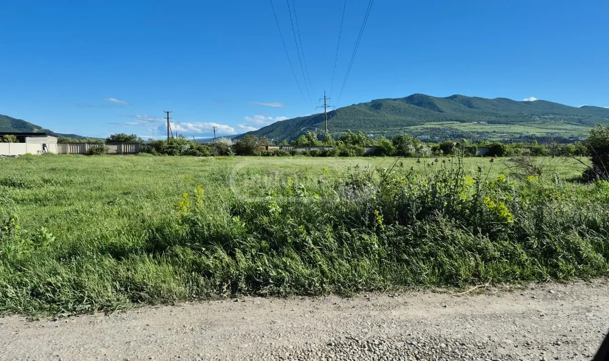 For Sale Sasoplo-Sameurneo Land Plot Mtskhetis Munitsipalitetshi view 6