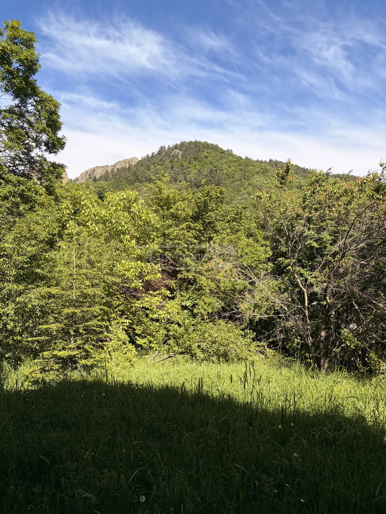 For Sale 4 Room Country House Tetritsqaroshi view 5