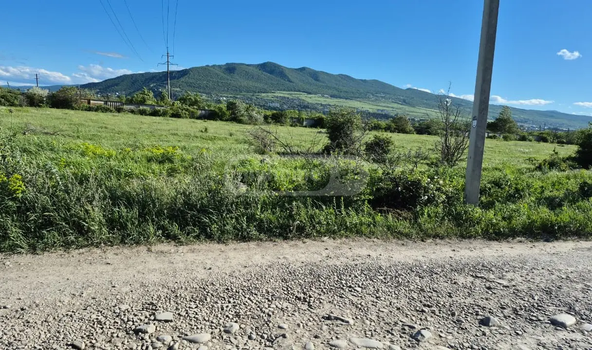 For Sale Sasoplo-Sameurneo Land Plot Mtskhetis Munitsipalitetshi view 5