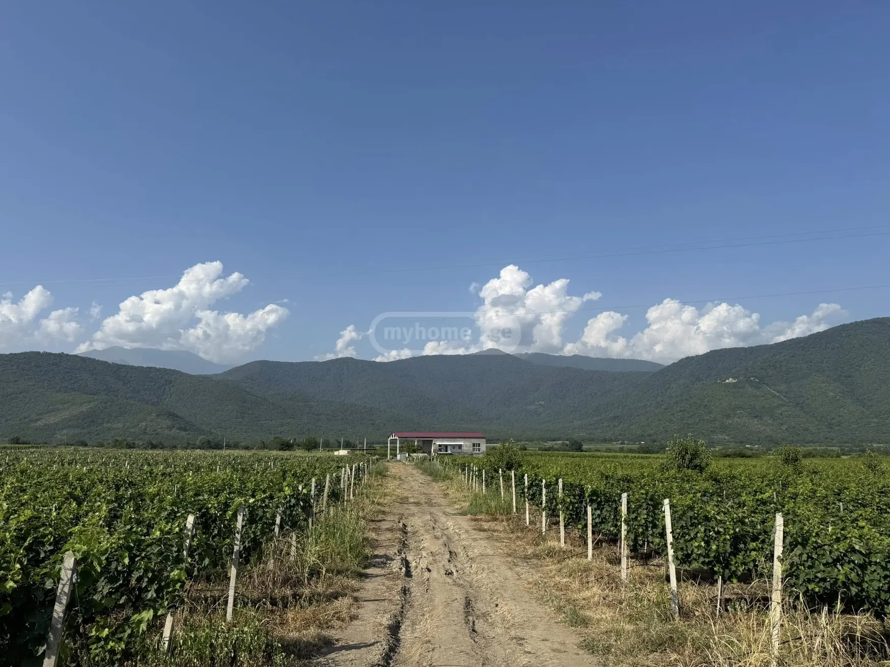 Продажа Земля / участок в Qvarlis Munitsipalitetshi view 1