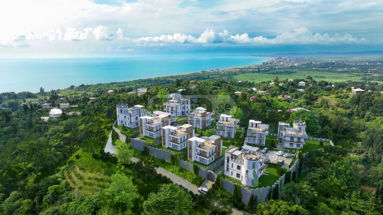 For Sale Ara Sasoplo-Sameurneo Land Plot In Batumi view 2