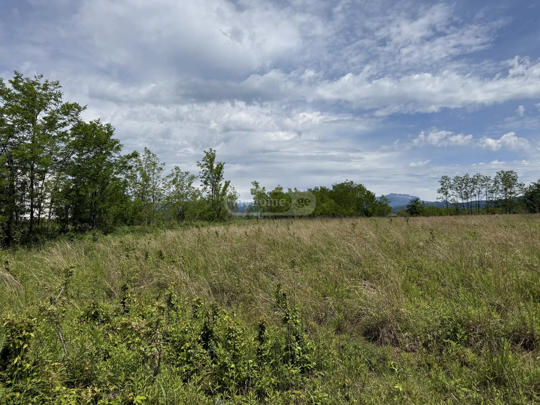 For Sale Sasoplo-Sameurneo Land Plot Kutaisshi view 2