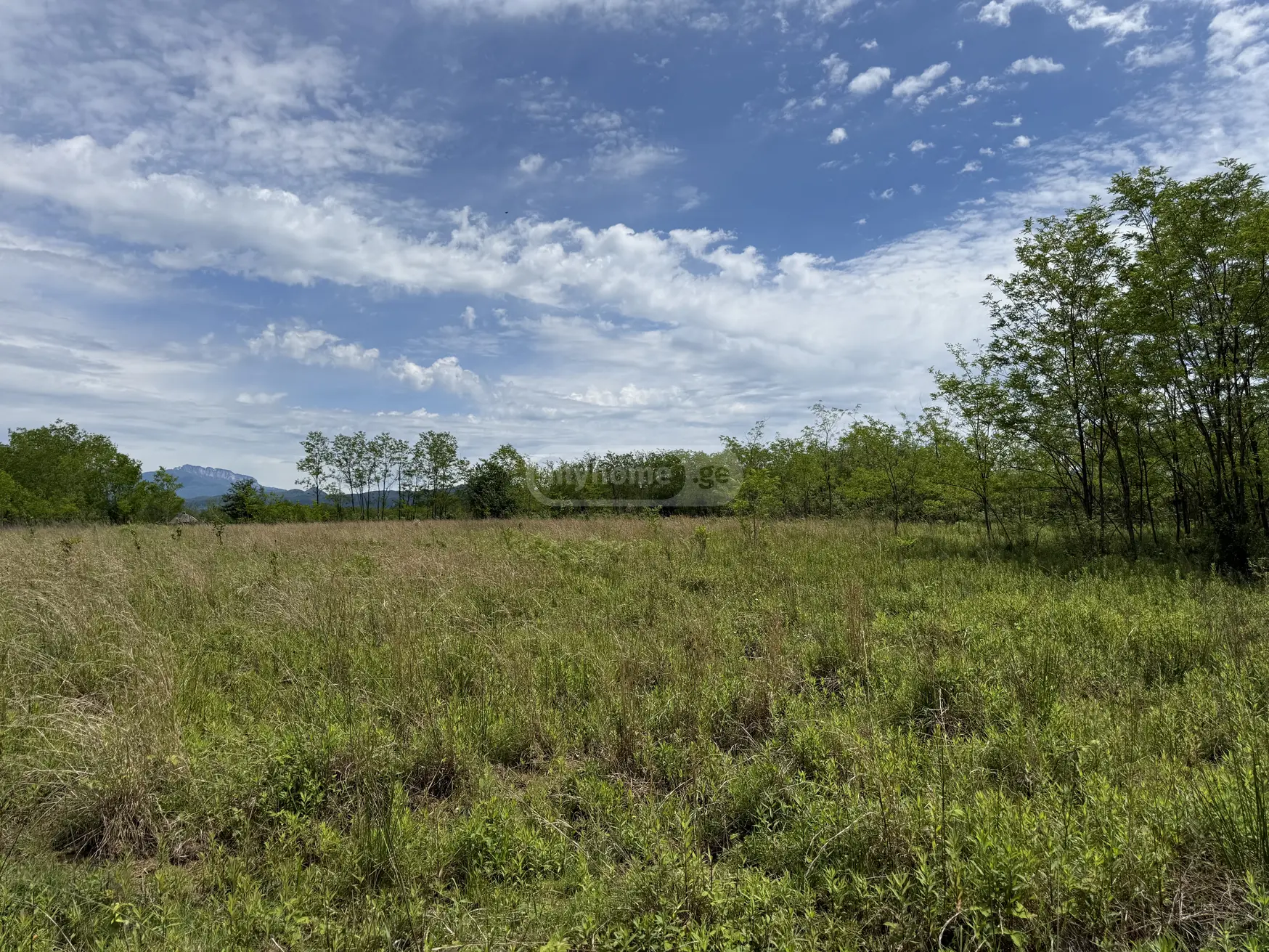 For Sale Sasoplo-Sameurneo Land Plot Kutaisshi view 1