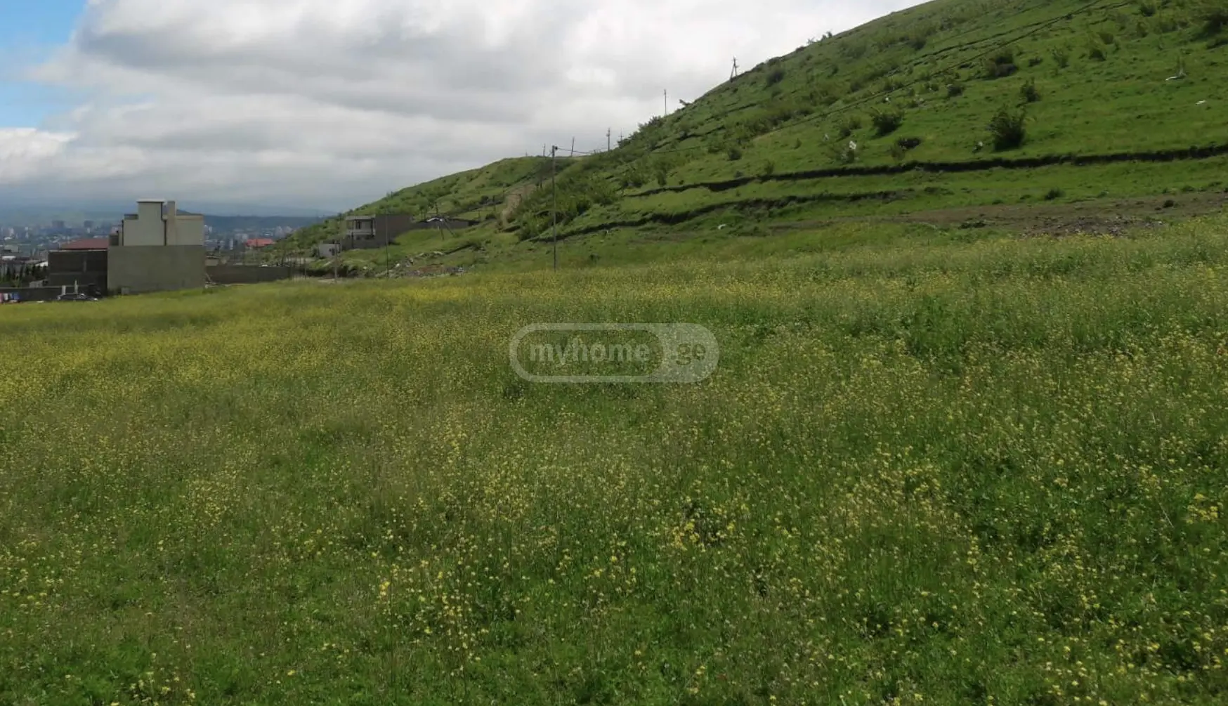 For Sale Sasoplo-Sameurneo Land Plot In Didi Dighomi, 4 of 5
