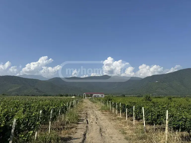 Продажа Земля / участок в Qvarlis Munitsipalitetshi view 1