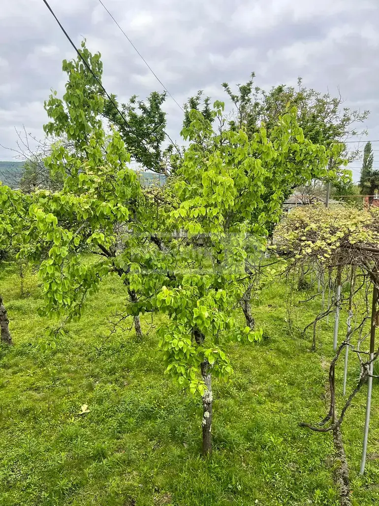 Продажа 6-комната Частный дом в Senakshi view 12