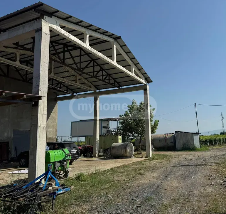 Продажа Земля / участок в Qvarlis Munitsipalitetshi view 4