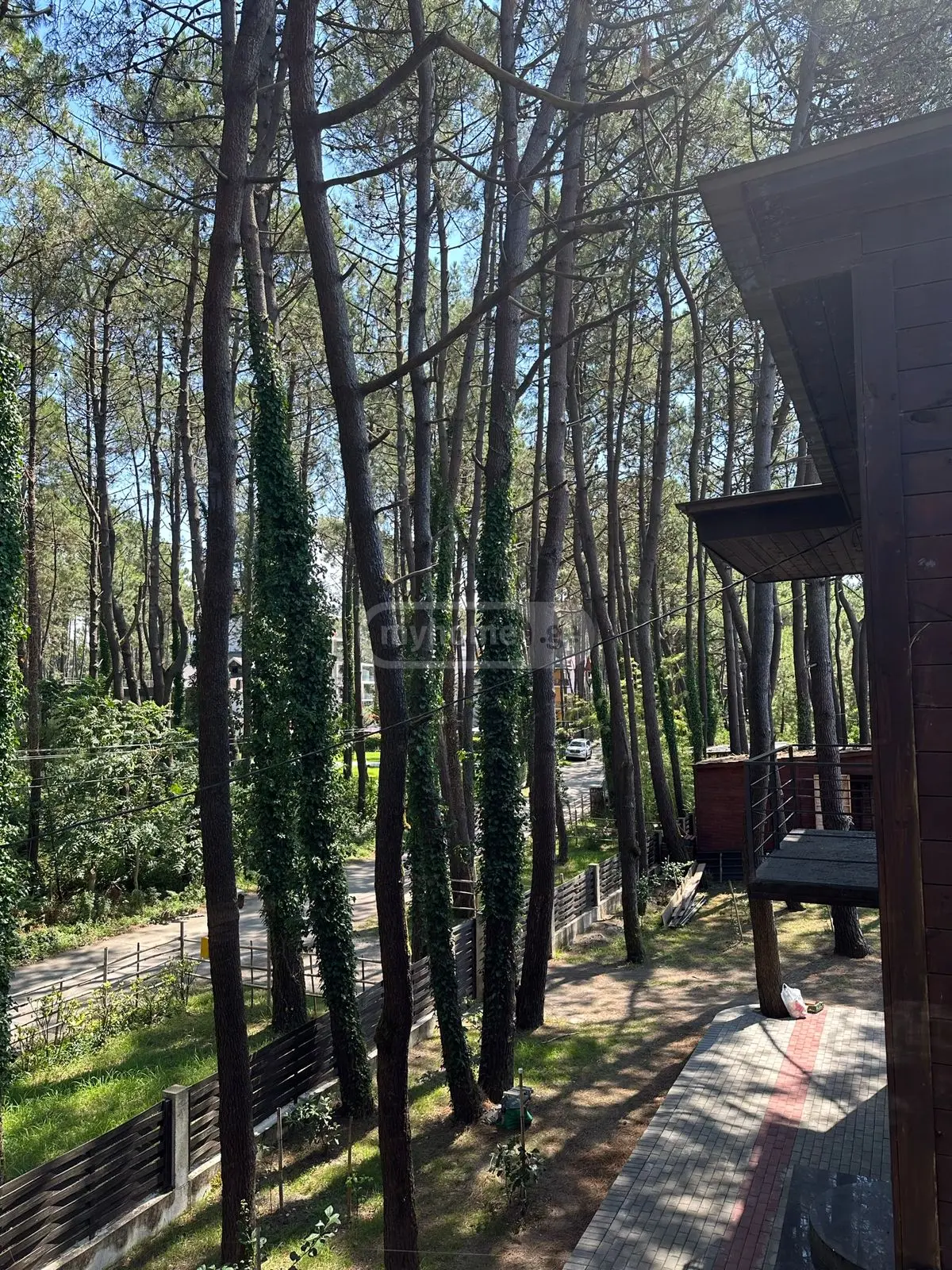 Daily Rent 4 Room Private House Ozurgetis Munitsipalitetshi view 6