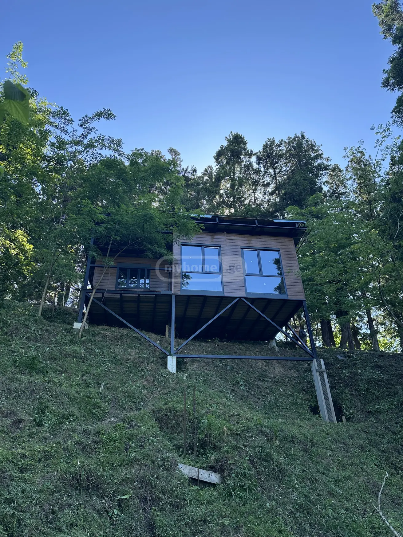 Продажа 6-комната Загородный дом в Ozurgetis Munitsipalitetshi view 3