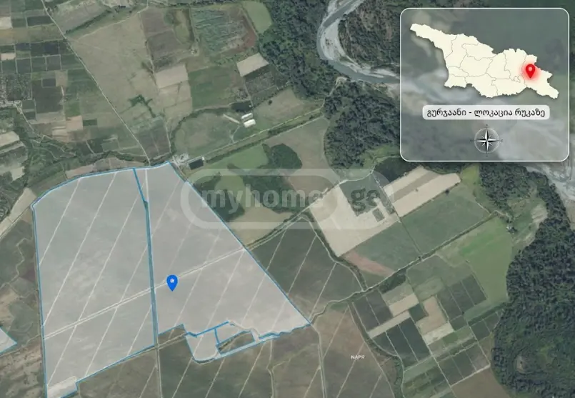 For Sale Sasoplo-Sameurneo Land Plot Gurjaanis Munitsipalitetshi view 1