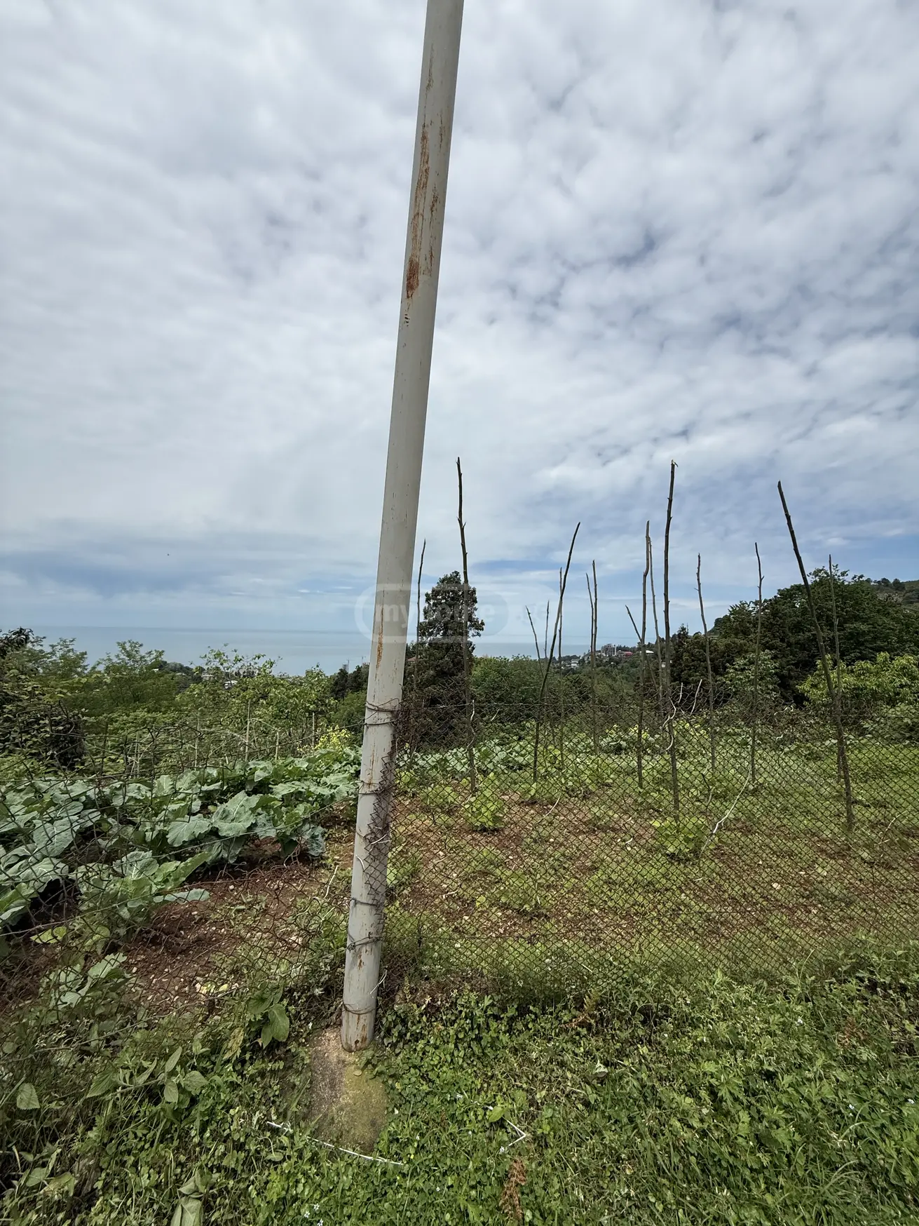 For Sale Sasoplo-Sameurneo Land Plot In Batumi view 4