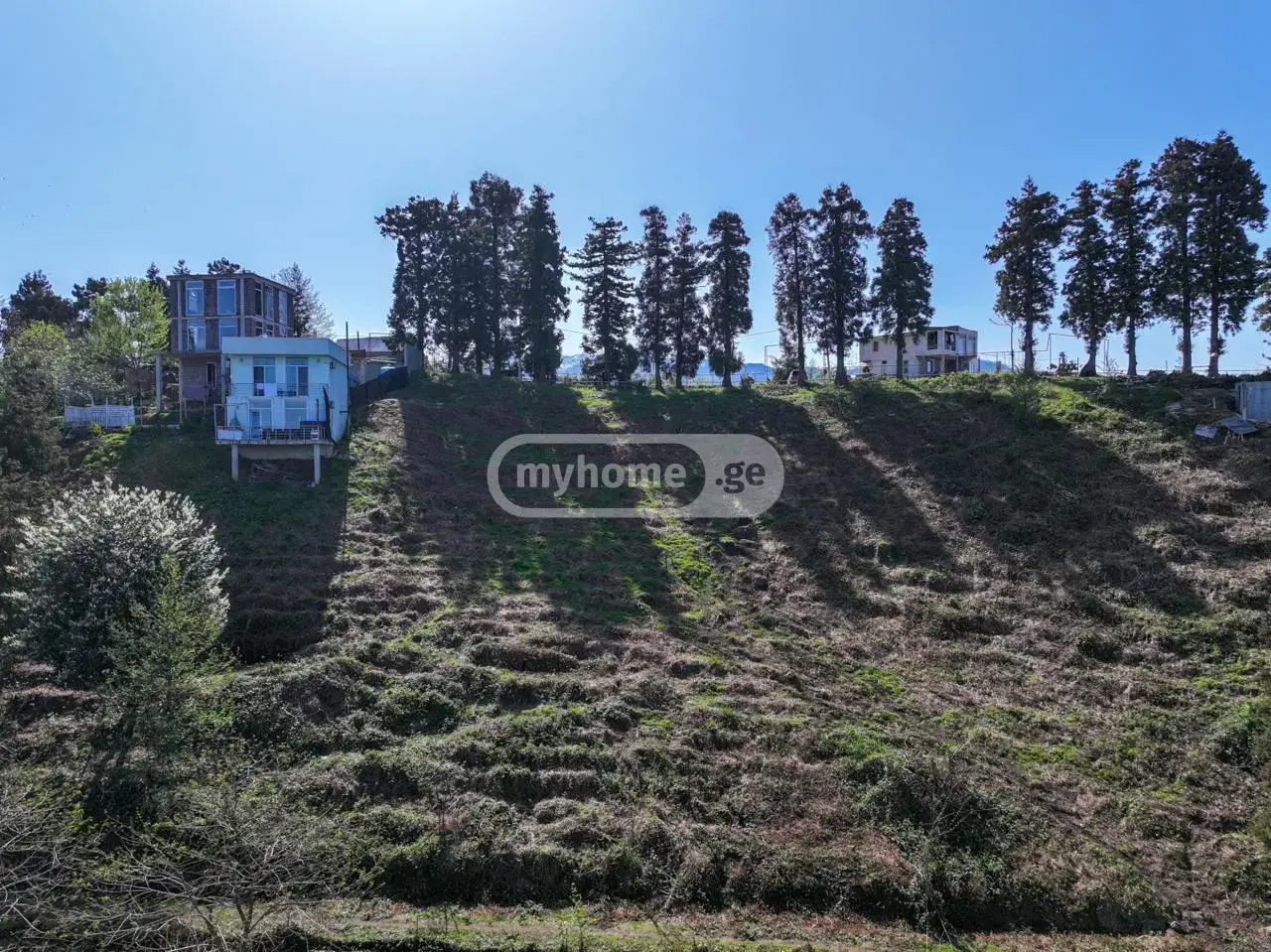 For Sale Ara Sasoplo-Sameurneo Land Plot In Batumi view 2