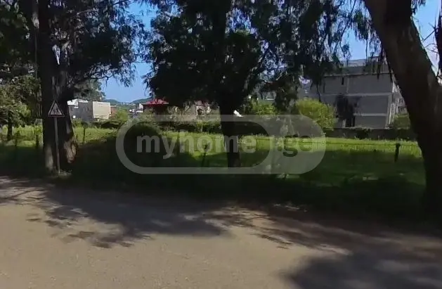 For Sale Sasoplo-Sameurneo Land Plot In Batumi view 4