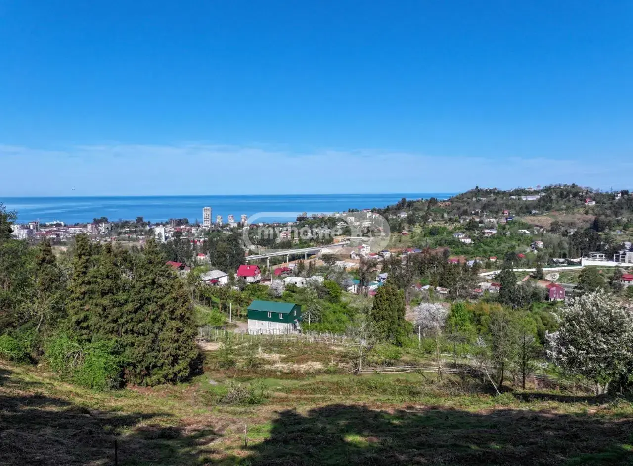 For Sale Ara Sasoplo-Sameurneo Land Plot In Batumi view 1