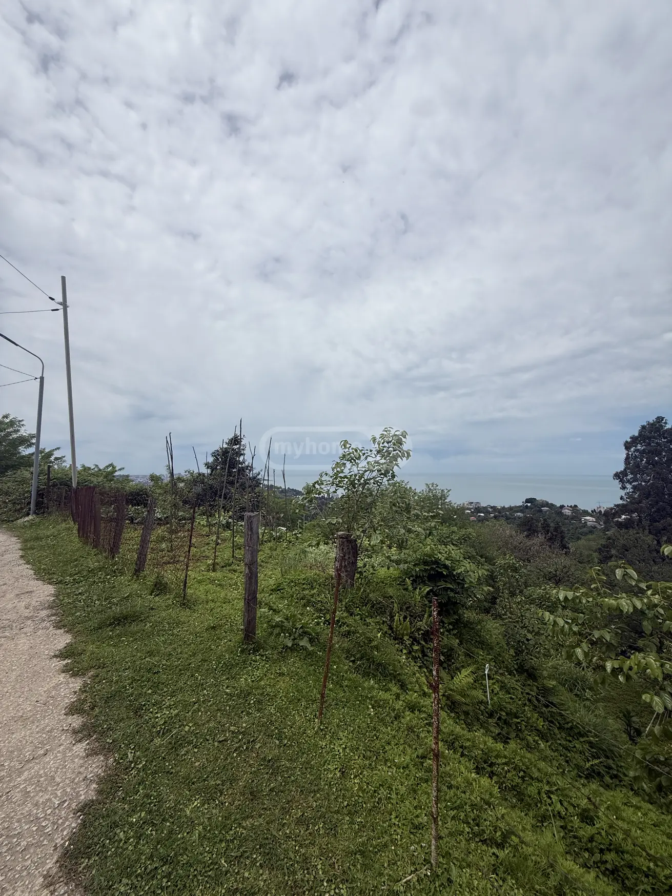 For Sale Sasoplo-Sameurneo Land Plot In Batumi view 8