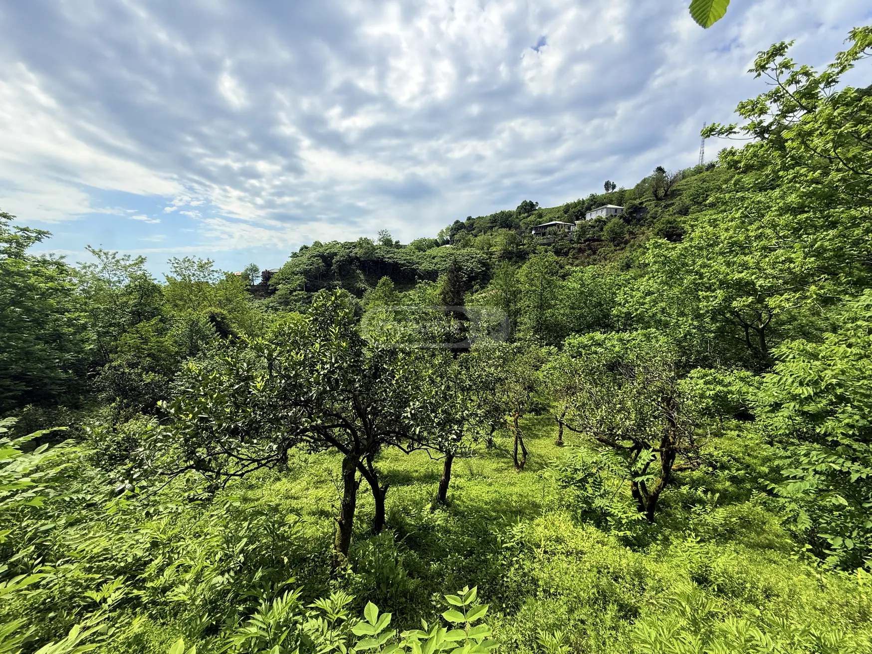 For Sale Sasoplo-Sameurneo Land Plot In Batumi view 2