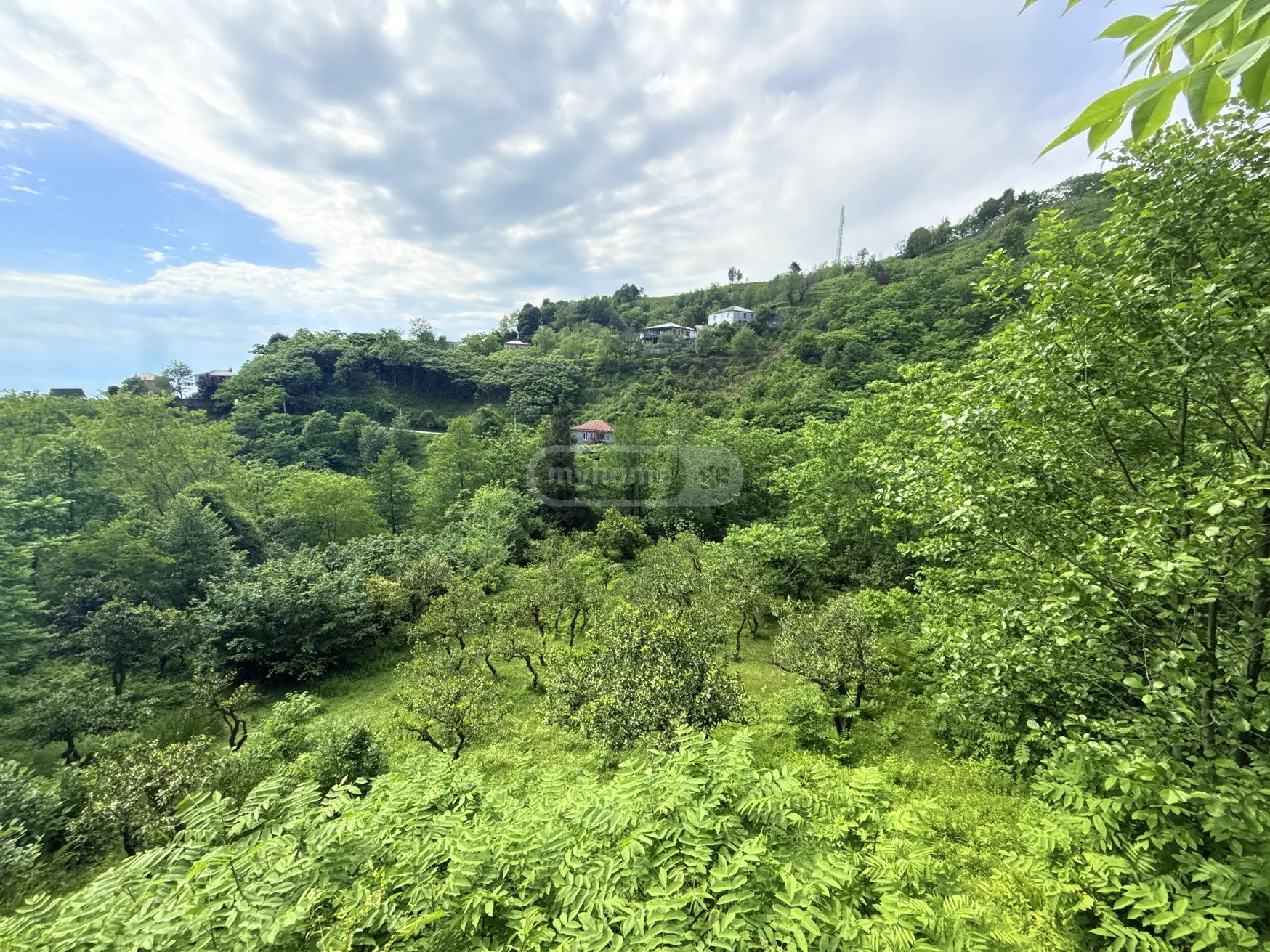 For Sale Sasoplo-Sameurneo Land Plot In Batumi view 6