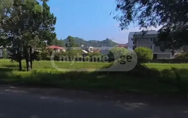 For Sale Sasoplo-Sameurneo Land Plot In Batumi view 6