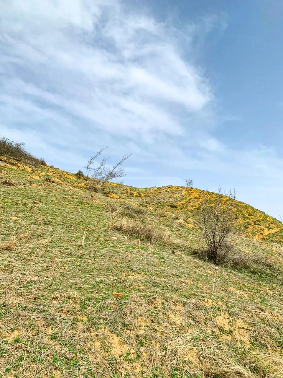 For Sale Sasoplo-Sameurneo Land Plot Sop. Dighomshi, 8 of 9