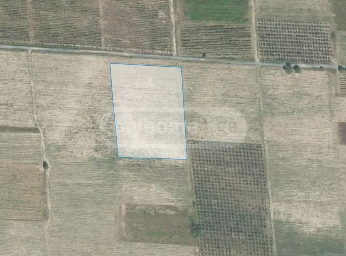 Продажа Земля / участок в Qvarelshi view 4