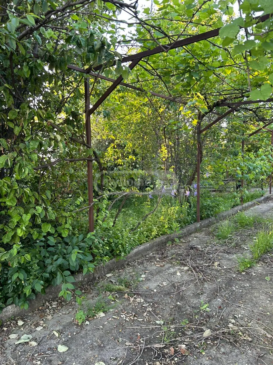Продажа 6-комната Загородный дом в Gurjaanshi view 3