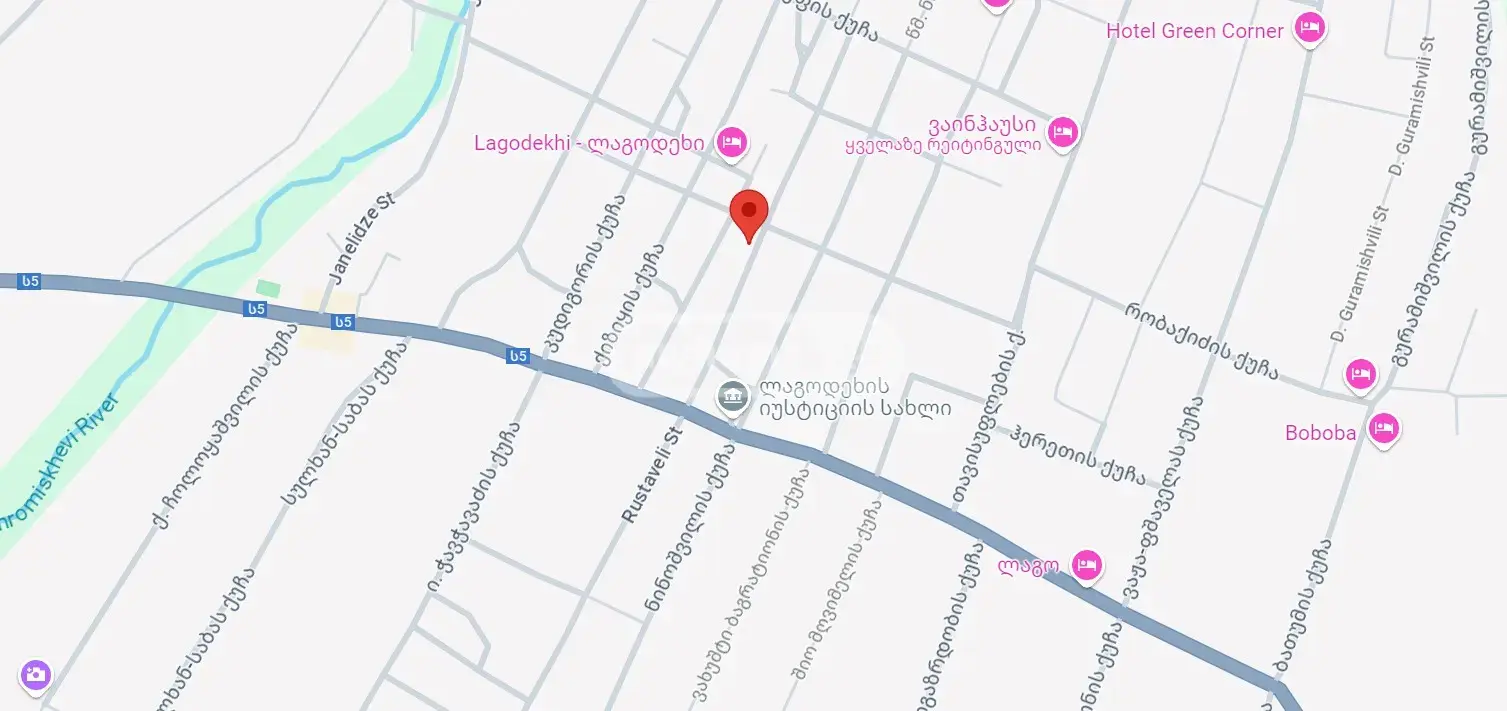 For Sale Saopise Commercial Space Lagodekhshi view 9